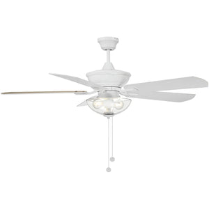 52" 2-Light Outdoor Ceiling Fan