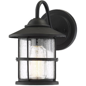 1-Light Outdoor Wall Lantern