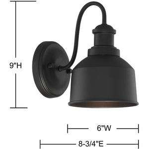 1-Light Outdoor Wall Lantern