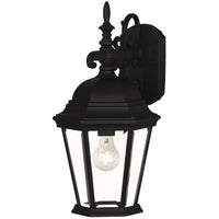 1-Light Outdoor Wall Lantern