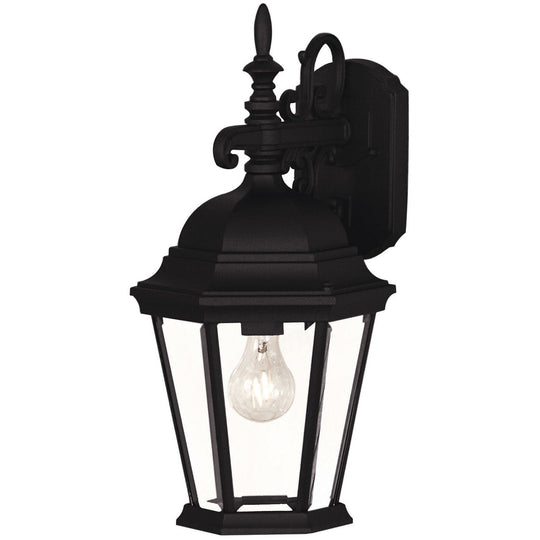 1-Light Outdoor Wall Lantern