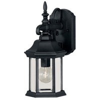 1-Light Outdoor Wall Lantern
