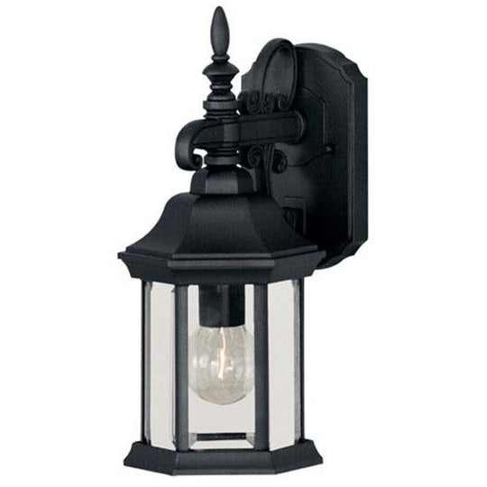 1-Light Outdoor Wall Lantern