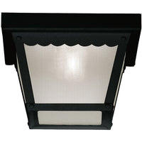 1-Light Outdoor Ceiling Light
