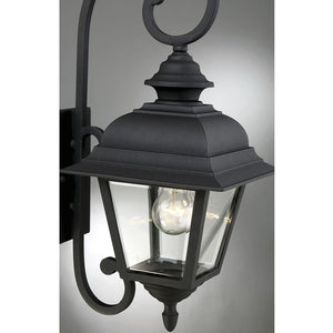 1-Light Outdoor Wall Lantern