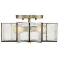 2-Light Ceiling Light