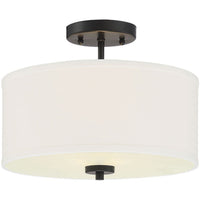 2-Light Ceiling Light