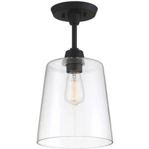 1-Light Ceiling Light