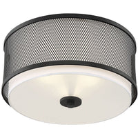3-Light Ceiling Light