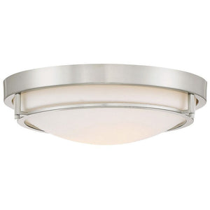 2-Light Ceiling Light