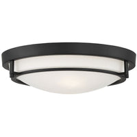 2-Light Ceiling Light