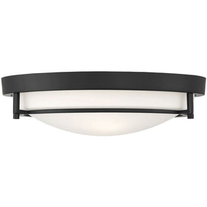 2-Light Ceiling Light