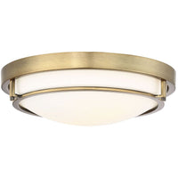 2-Light Ceiling Light