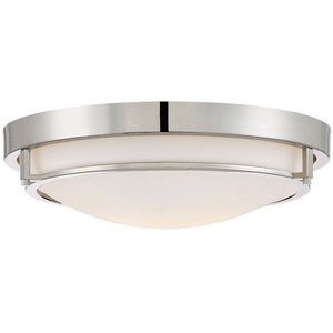 2-Light Ceiling Light