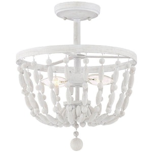 2-Light Ceiling Light