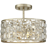 2-Light Ceiling Light