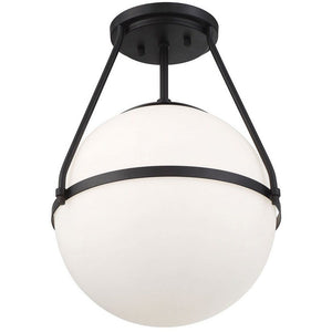 1-Light Ceiling Light