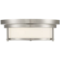 2-Light Ceiling Light