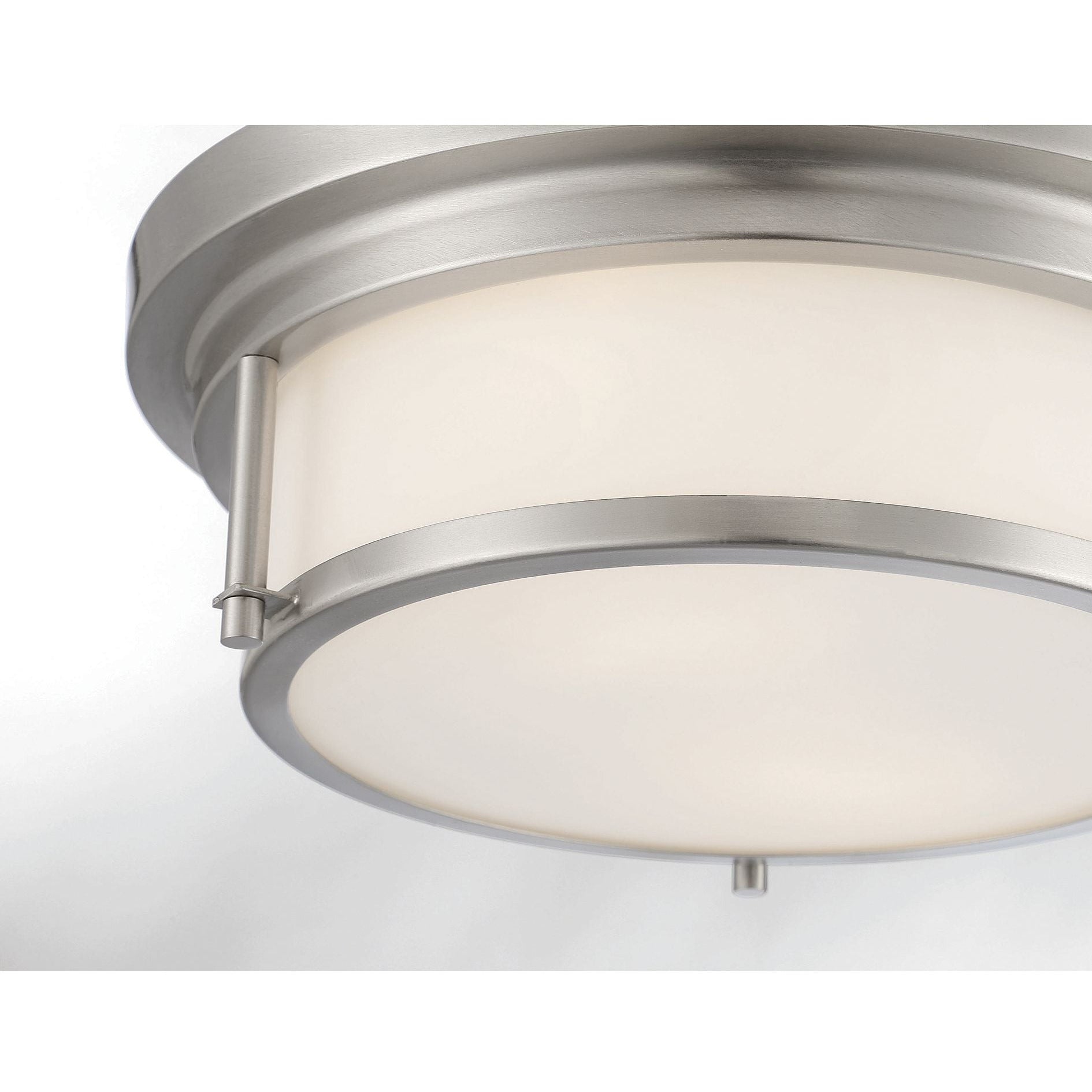 2-Light Ceiling Light