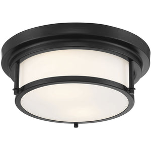 2-Light Ceiling Light