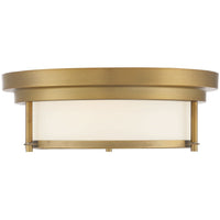 2-Light Ceiling Light
