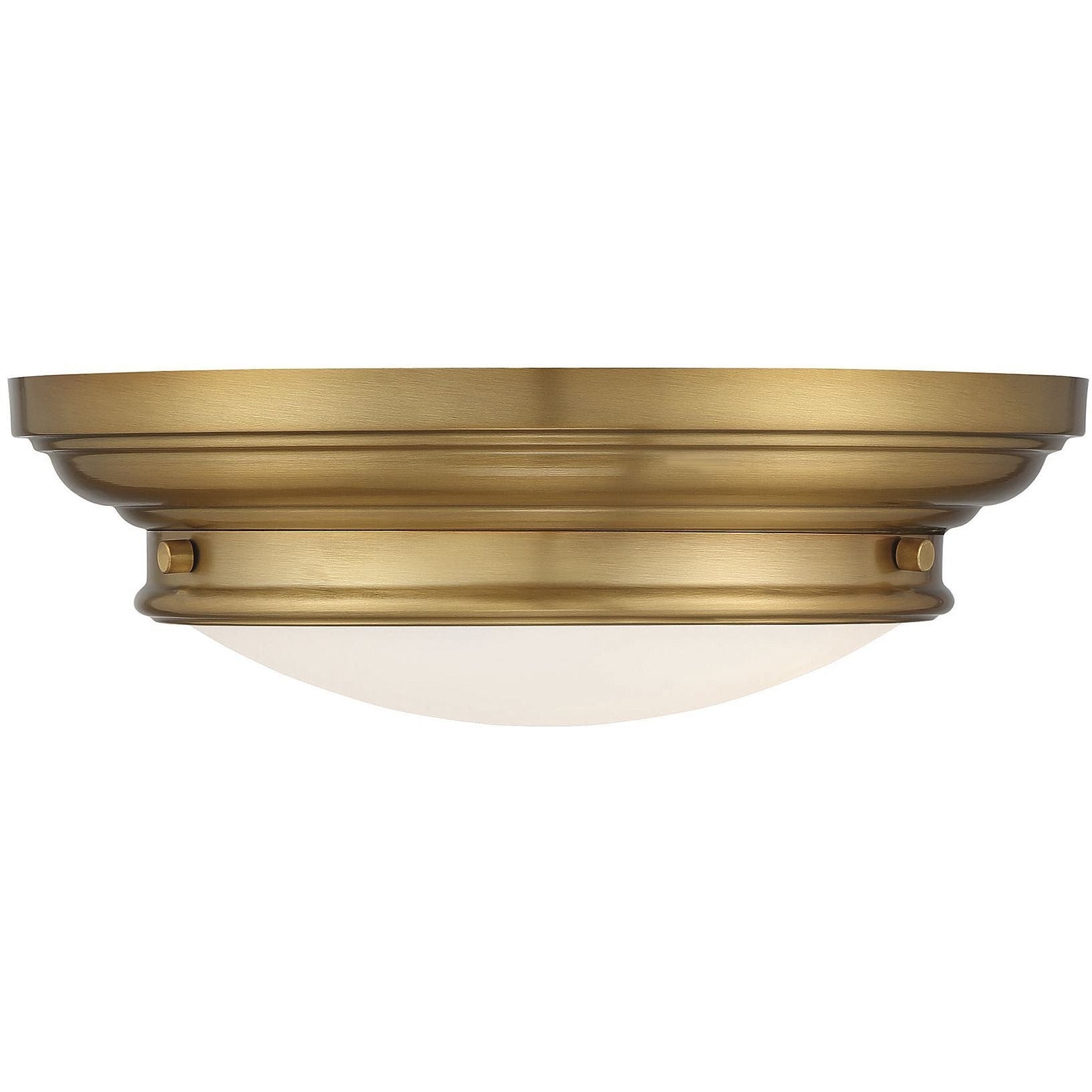 2-Light Ceiling Light