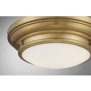 2-Light Ceiling Light