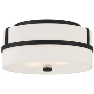 2-Light Ceiling Light