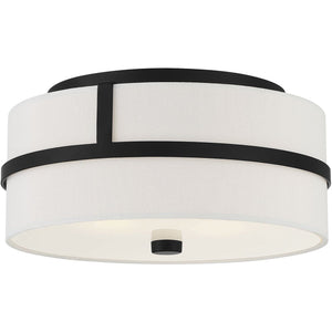 2-Light Ceiling Light