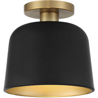1-Light Ceiling Light