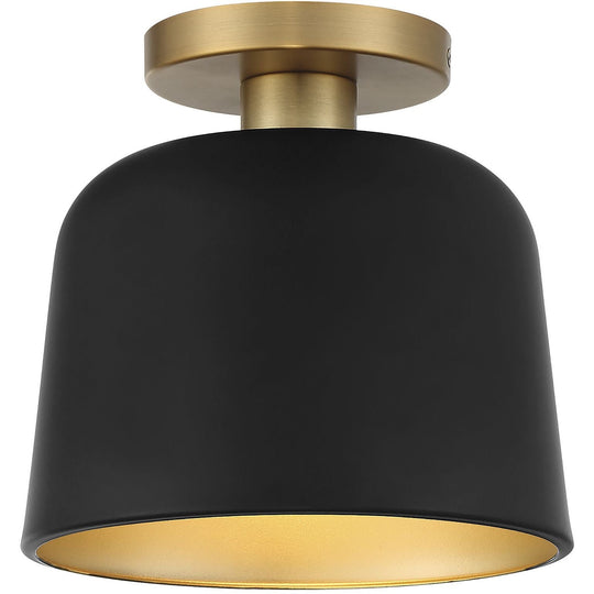 1-Light Ceiling Light