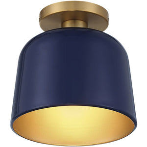 1-Light Ceiling Light