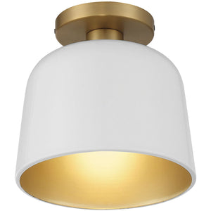 1-Light Ceiling Light