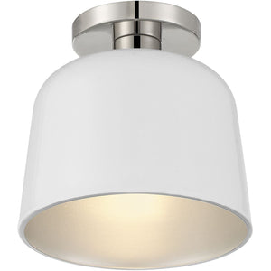 1-Light Ceiling Light