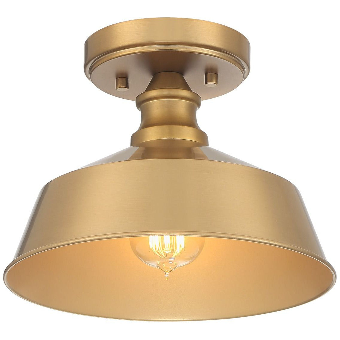 1-Light Ceiling Light