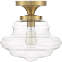1-Light Ceiling Light