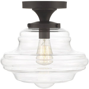 1-Light Ceiling Light