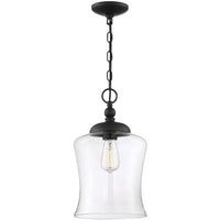 1-Light Mini Pendant