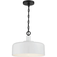 1-Light Pendant