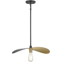1-Light Pendant