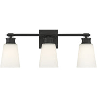 3-Light Bathroom Vanity Light