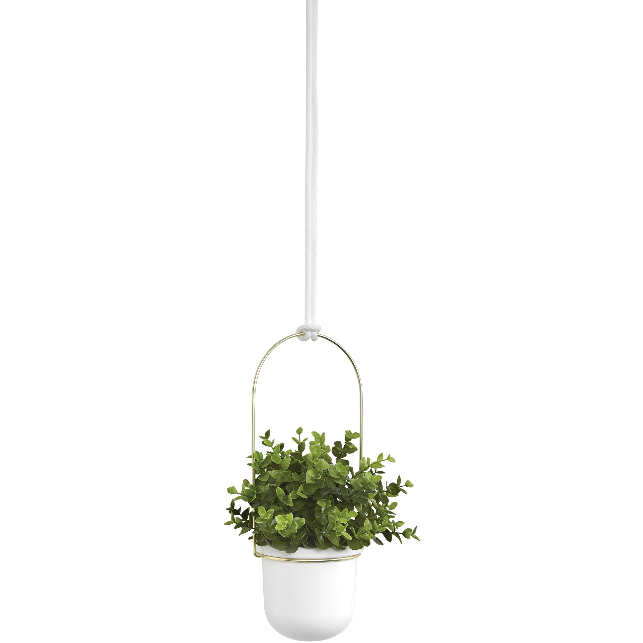 umbra planter hanging Triflora Hanging Planter