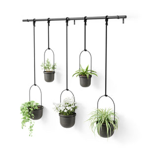 Triflora Hanging Planter (Set of 5)