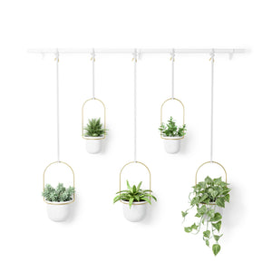 Triflora Hanging Planter (Set of 5)