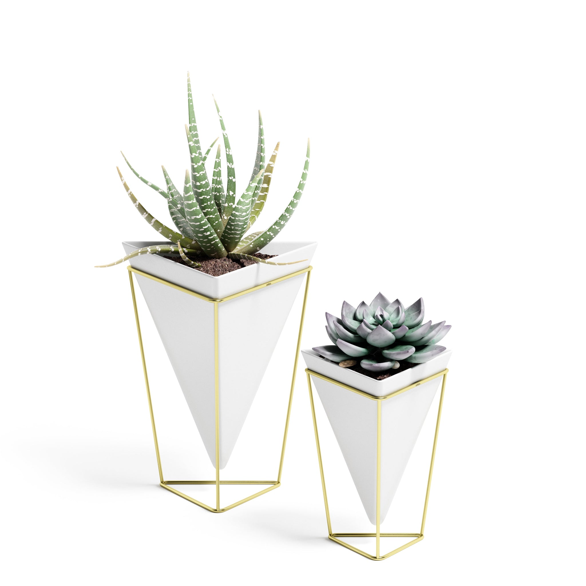 Trigg Tabletop Vessels (Set of 2)