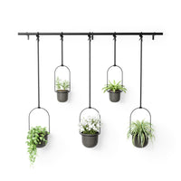 Triflora Hanging Planter (Set of 5)