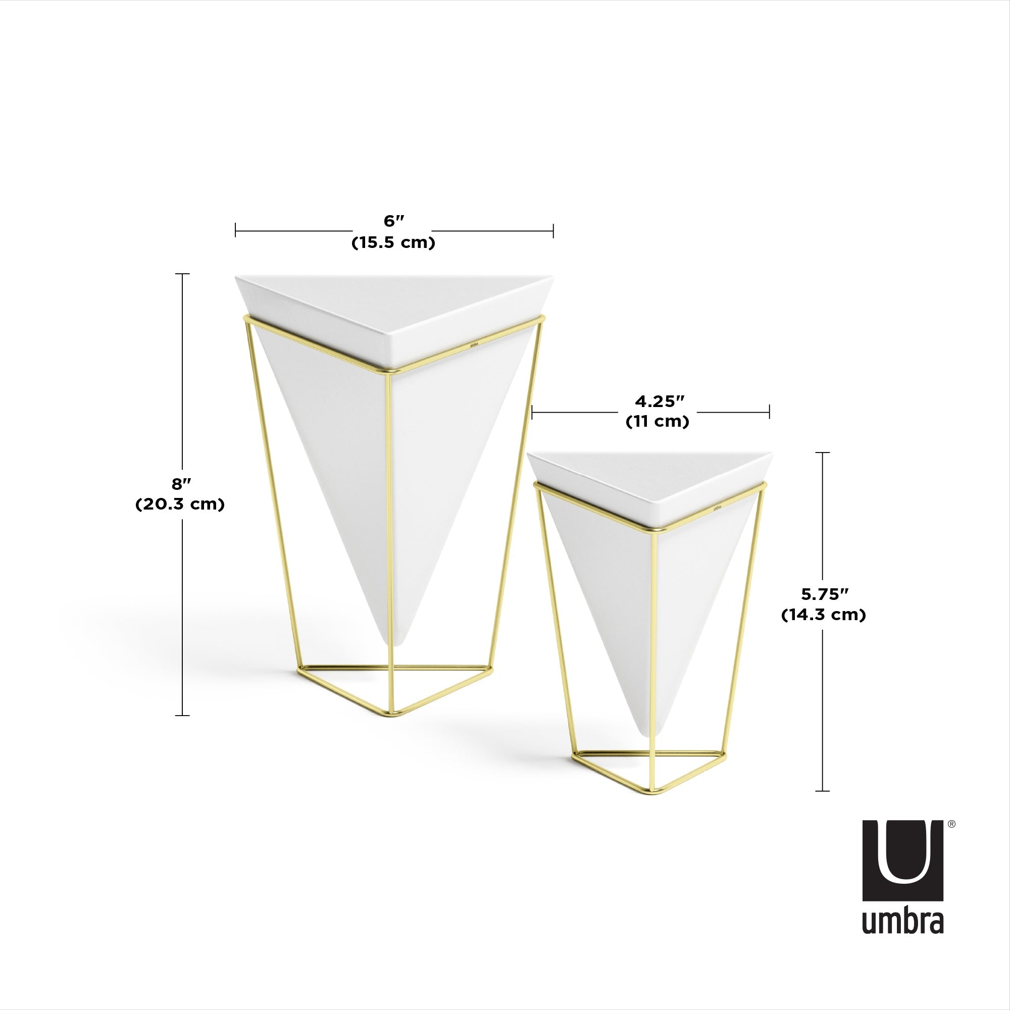 Trigg Tabletop Vessels (Set of 2)