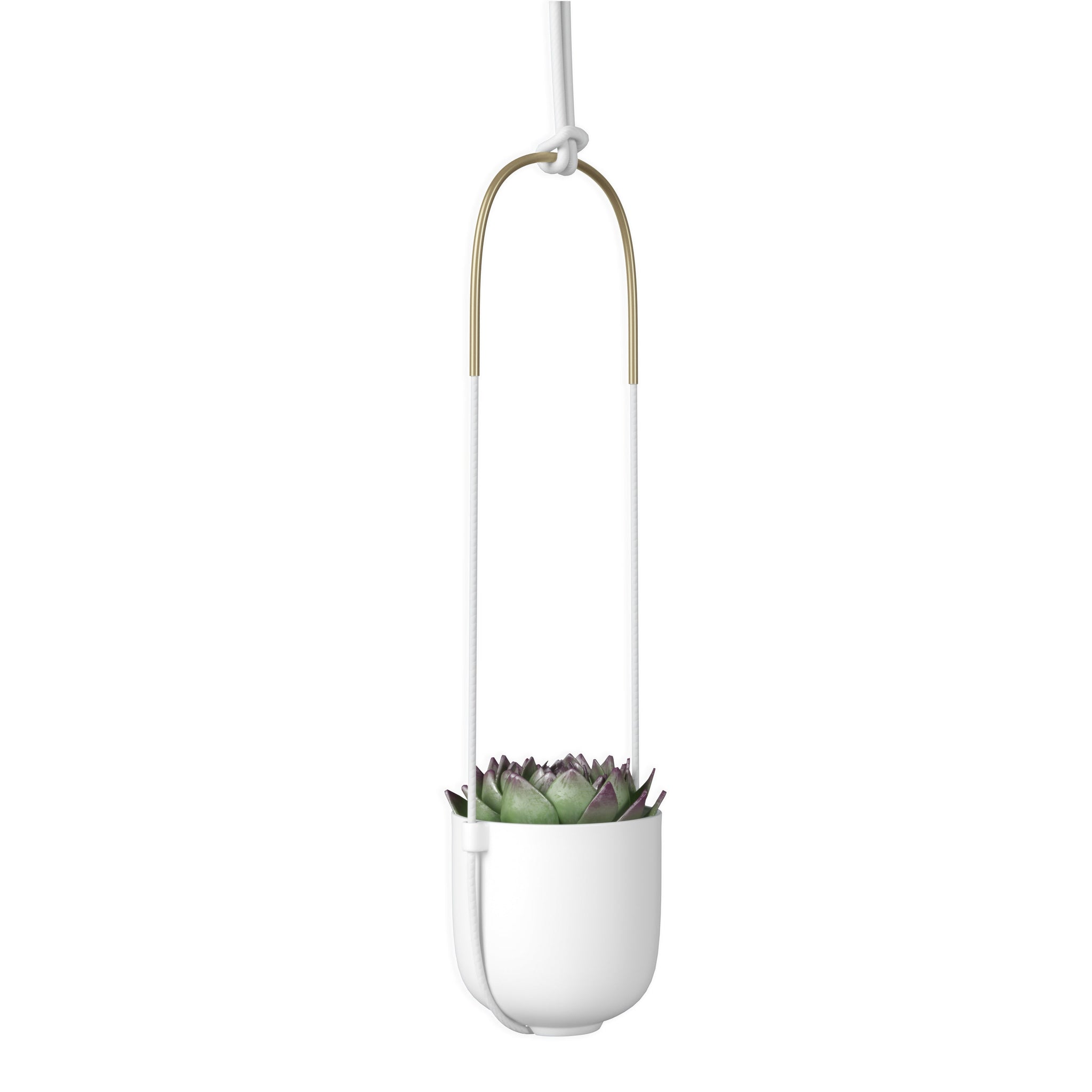 Bolo Hanging Planter