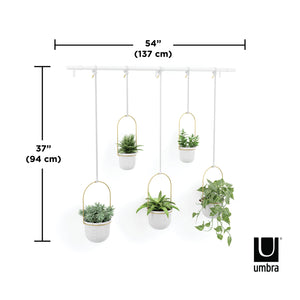 hanging planter umbra Triflora Hanging Planter (Set of 5)